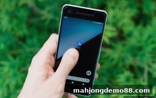 麻将胡了试玩：ERC20入金审核期望与现实的深度解析