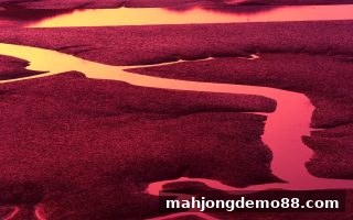 深度解析数字游戏选号策略：麻将胡了试玩带你理性参与