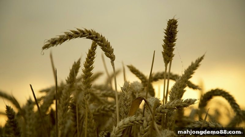 麻将胡了试玩新手福利全攻略：从注册到提现的快速通关指南