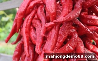 麻将胡了试玩返佣机制操作全攻略：从入门到精通（血战麻将玩家必看）