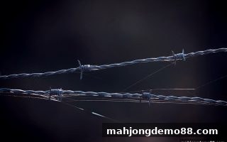 麻将胡了试玩：番摊网络游戏监管政策全景解析与合规参与指南
